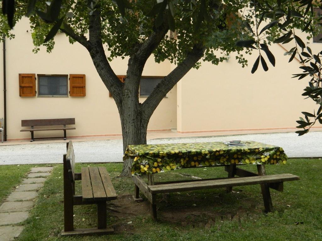 Podere Santo Signoretto San Vincenzo Dış mekan fotoğraf